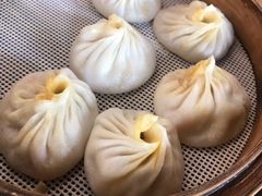 鲜肉小笼汤包-一品小笼(金融街店)