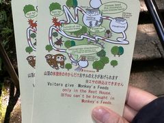 -岚山猴子公园