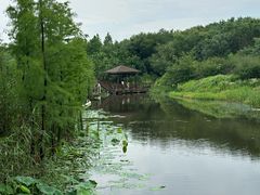 -同里国家湿地公园