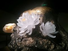 android_upload_pic-上海琉璃艺术博物馆