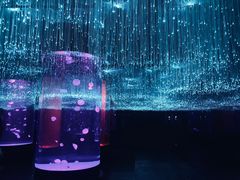 -哈尔滨波塞冬海底世界