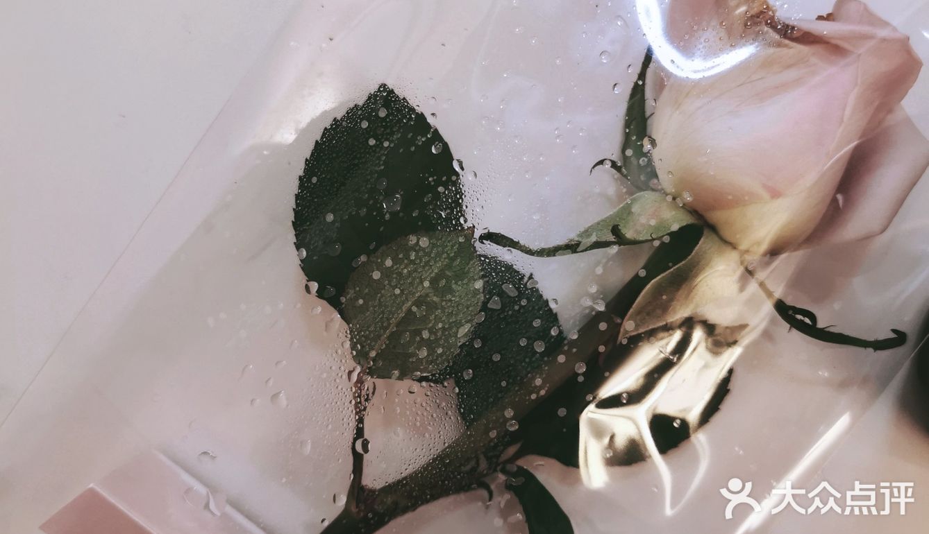 返常浪漫|一朵玫瑰一杯咖啡（限定）