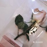 返常浪漫|一朵玫瑰一杯咖啡（限定）