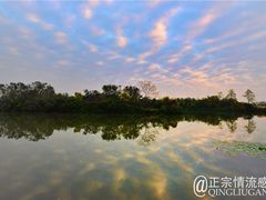 -大湾区中央湿地公园