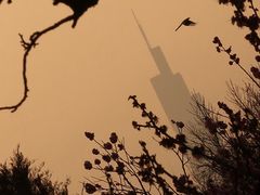-梅花山(明孝陵内)