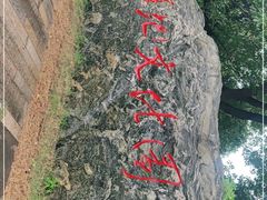 -长兴太湖图影湿地文化园