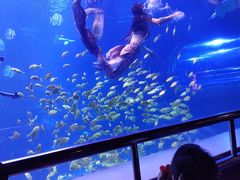 -太平洋海底世界