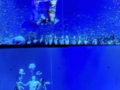-合肥海洋世界