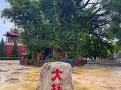 -大槐树寻根祭祖园