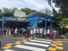 -圣淘沙天际线斜坡滑车