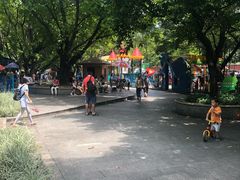-晓港公园