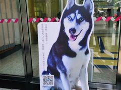 -西单明珠商场