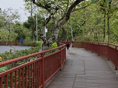 -红花湖景区