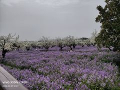 -江苏三台山国家森林公园