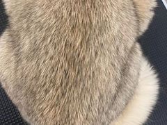 -comecome来吧宠物(奥克斯中心店)