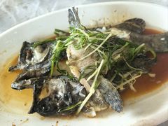 -众味海鲜大排档·活海鲜·潮汕味(南澳店)