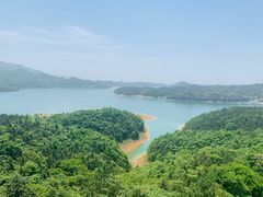 -酒仙湖景区