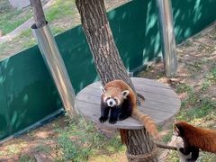 -大连森林动物园