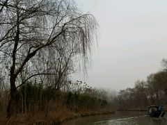 -溱湖国家湿地公园