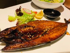 -一棵树·意大利西餐厅One Tree(新城店)