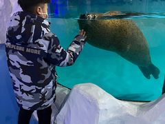 -台州海洋世界