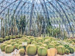 -深圳仙湖植物园