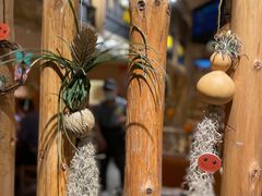 -冰川冷面·延边菜·炭烤串(观前店)