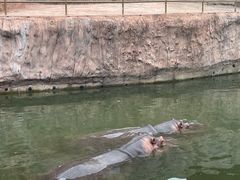 -武汉动物园
