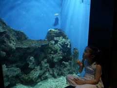 -锦艺城海洋馆