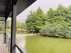 -尚贤河湿地