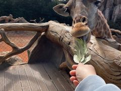 -云南野生动物园