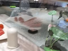 -印象天台·非遗文化美食