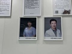 -纳吉亚猫专科动物诊疗中心(蒋宅口分院)