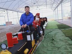 -桤木河湿地公园