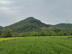 -八卦田遗址公园