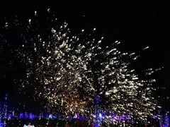 -济南国际园博园