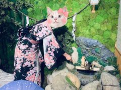 -無境·匠心日本料理(汉街店)