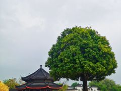-广东圆玄道观
