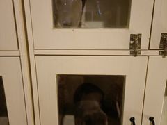 -OX BAR 拉培耶小镇(大连老街店)