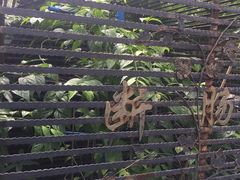 -广州神农草堂中医药博物馆