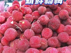 -半岛听涛蒸汽海鲜自助(K11店)