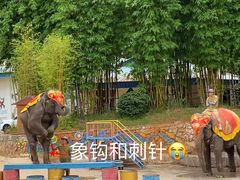 -云南民族村