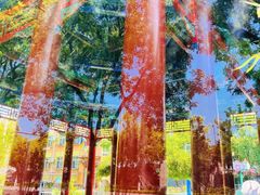 -北京市东城区东四九条小学