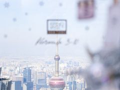 -上海柏悦酒店