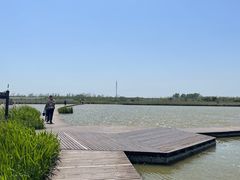 -盐城丹顶鹤湿地生态旅游区