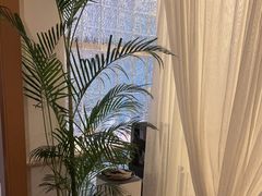 -沐森 •疗愈头疗馆(打浦桥店)