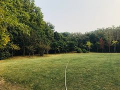 -河南省黄河迎宾馆