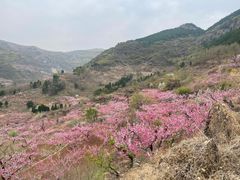 -空心山旅游区