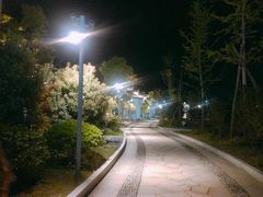 -婺源站