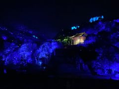 -印象普陀